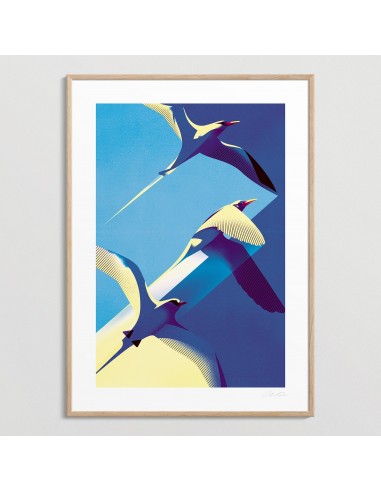 Tropicbirds de technologie