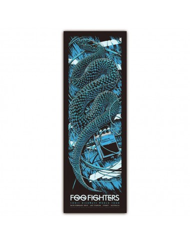 Foo Fighters (Sydney 2015) prix pour 