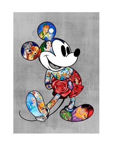 Broderie Diamant  Mickey Univers Disney plus qu'un jeu 