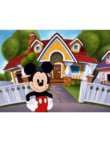 Broderie Diamant  La Maison de Mickey Comparez et commandez 