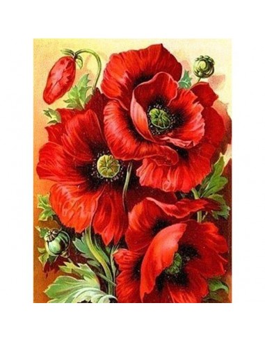 Broderie Diamant  Peinture Coquelicots pas chere