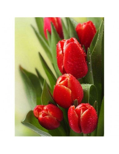 Broderie Diamant  Tulipes Rouges basket pas cher