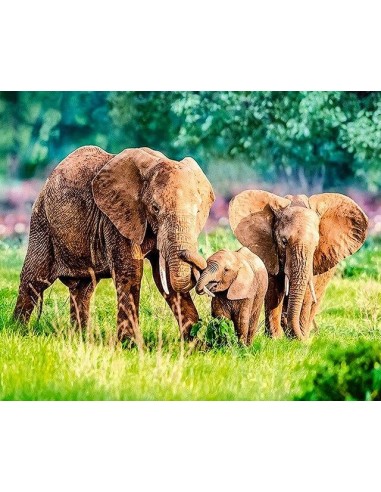 Broderie Diamant  Famille d'Éléphants sélection de produits