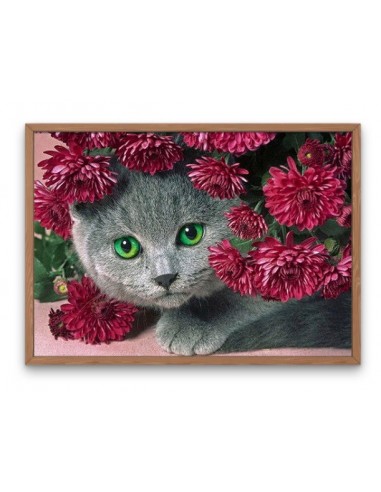 Broderie Diamant  Chat et Fleurs Rouges sur le site 