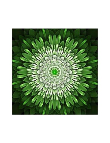 Broderie Diamant  Mandala Vert Électrique les muscles