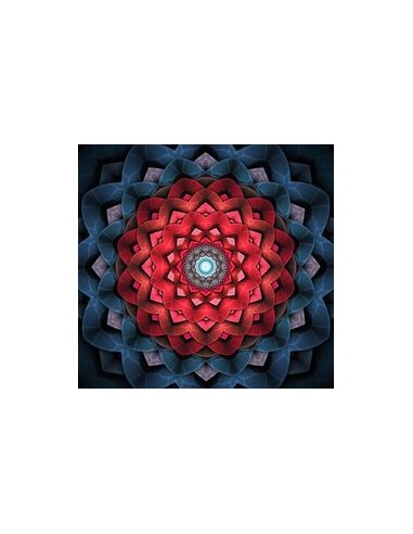 Broderie Diamant  Mandala Fleur Géométrique ouvre sa boutique